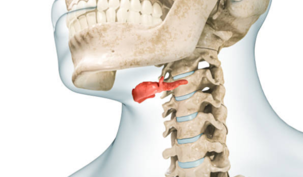Osso hioide: conheça a anatomia e as funções vitais dessa estrutura única no pescoço. Entenda como ele afeta a deglutição e as dores cervicais.